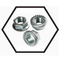 Flange Nuts – Serrated and Plain Flange Hex Nuts for Even Load Distribution on Joints in Automotive, Machinery and Structural Fastening – Mild Steel and High Tensile Steel, Metric and Inch Threads, Zinc Plated or HDG Finish